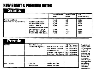 Current grant and premium rates