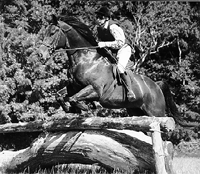 Horse jumping cross country