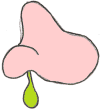 snot