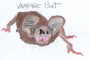 Vampire Bat