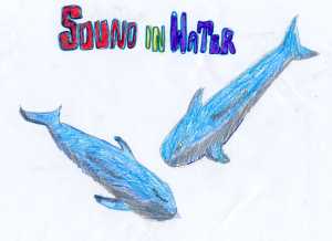 Whales