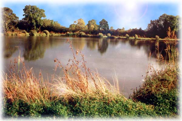 TLakeland Fishery and Angling Centre, Ireland - The Complex