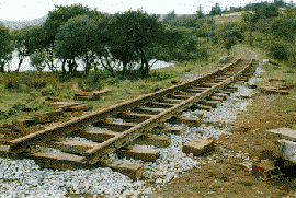 Photograph of recently laid track (25Kbytes)