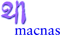 Macnas Logo