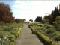 Path through plants, Botanic Gardens, Dublin.