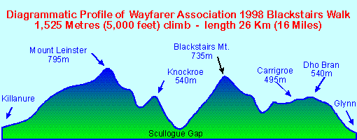 Profile of the 1999 Wayfarer Association Blackstairs Walk