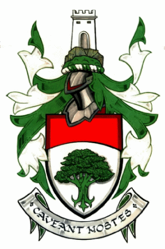 1991 coat of arms (scan of original document)