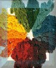 Carol Todd`s Natural Dyes Page