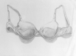 Click here to see enlargement of Velvet Bra Drawing