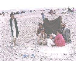 Afghanistan Refugees