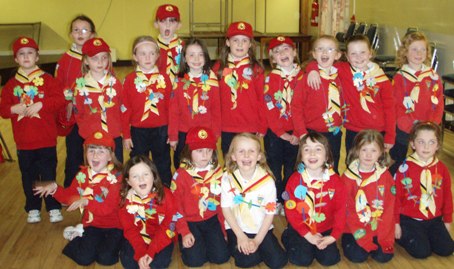 Cygnets with Lei's