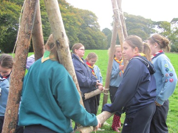 Pioneering