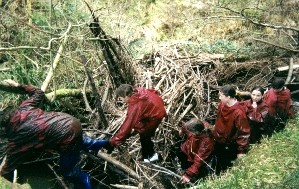A little Mud Walk :)