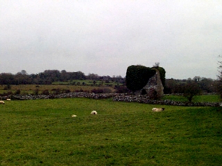 Ballylin Castle
