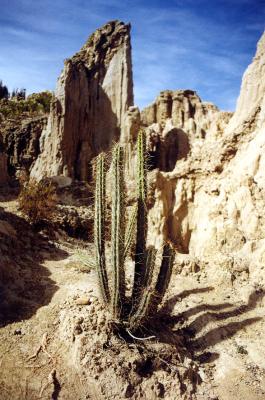 Valle de la Luna