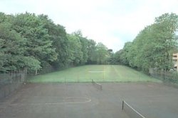 playing field and courts