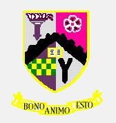 badge.jpg (10000 bytes)