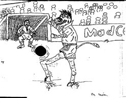 football crazy cow