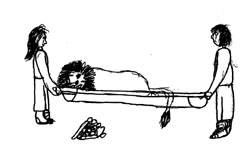 lion on stretcher