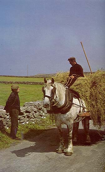 The Rosses of Old