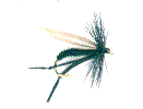 fly1.gif (2605 bytes)