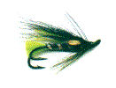 fly3.gif (3251 bytes)