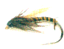 fly5.gif (3537 bytes)