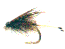 fly6.gif (3110 bytes)