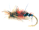 fly7.gif (3685 bytes)