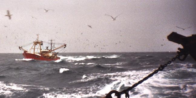 FISHING BOAT.JPG (33046 bytes)