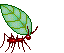 ant.gif (6325 bytes)
