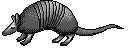 armadillo.gif (8392 bytes)