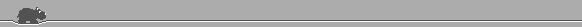 bar11.gif (536 bytes)