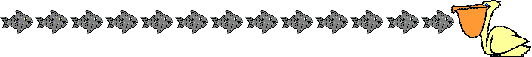 bar48.gif (37365 bytes)