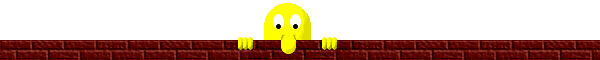 bar89.gif (6939 bytes)