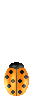 ladybird.gif (25371 bytes)