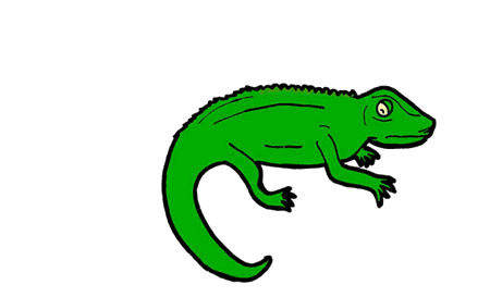 liz.gif (15881 bytes)
