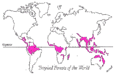 map_



rain.gif (14039 bytes)