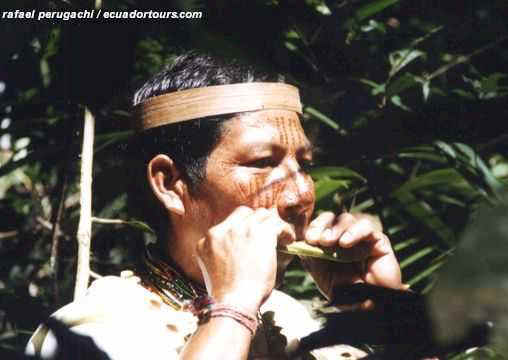 native guide.jpg (27782 bytes)