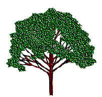 tree_10.gif (18200 bytes)