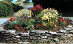 flower.jpg (34899 bytes)
