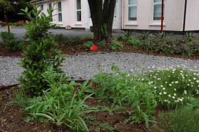 Garden3