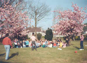 SpringBlossoms