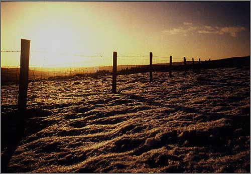 Field