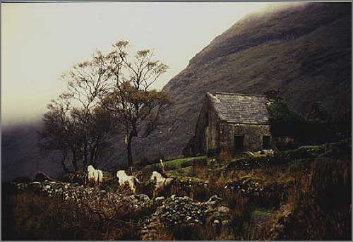 Black Valley