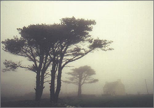 Goat's Path, West Cork